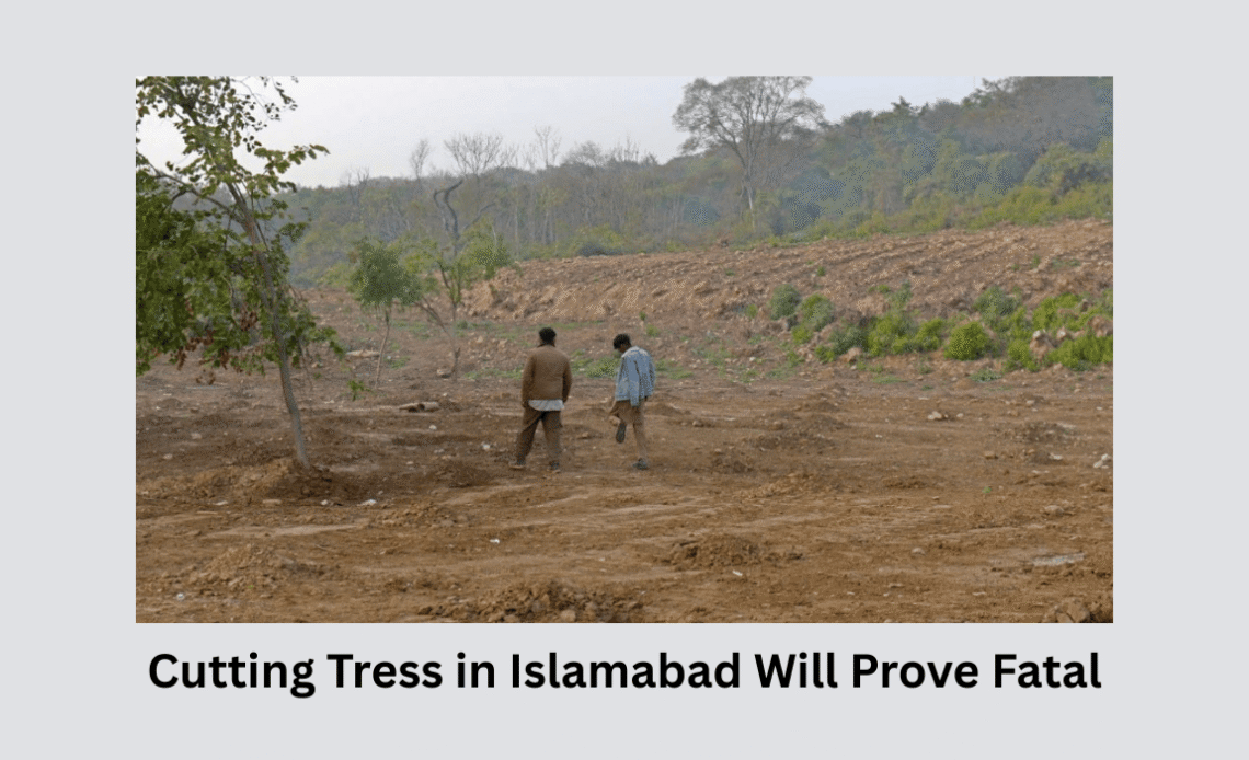 cutting-trees-in-islamabad