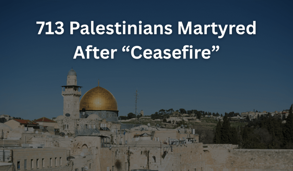 713-Palestinians-Martyred