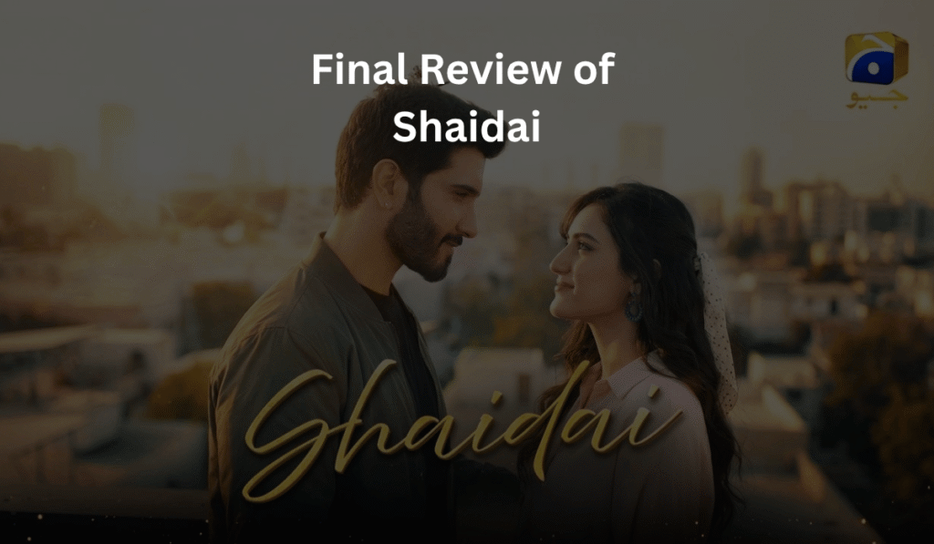 final-review-of-shaidai-2026