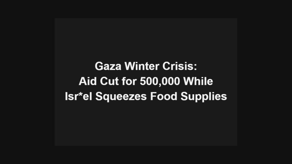 Gaza winter crisis: aid cut for 500,000 while Isr*el squeezes food supplies