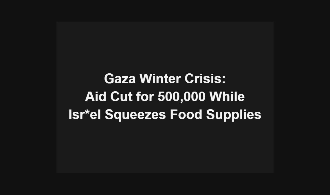 Gaza winter crisis: aid cut for 500,000 while Isr*el squeezes food supplies
